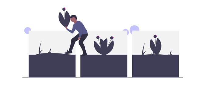 Icon Teilungsversteigerung Realteilung