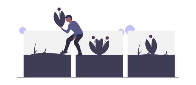 Thumbnail Teilungsversteigerung Realteilung